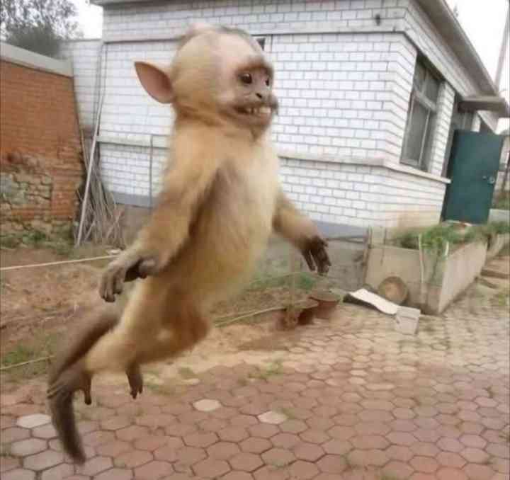 "Oops, sorry, I didn't see that speed bump"

Me at the backseat: | MirrorLog